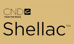 shellac